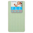 Alternate image 2 for Dream On Me Bedtime 2-Sided 150 Coil Crib and Toddler Bed Mattress in Green/Brown