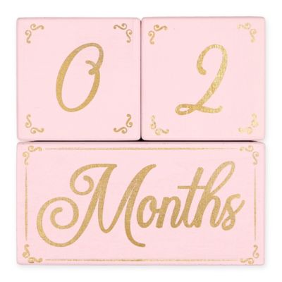 The PeanutShell&trade; 3-Piece Milestone Block Set in Pink/Gold