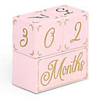 Alternate image 4 for The PeanutShell&trade; 3-Piece Milestone Block Set in Pink/Gold