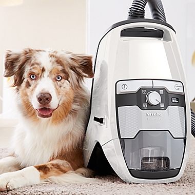 Miele Blizzard CX1 Cat &amp; Dog Bagless Canister Vacuum in White. View a larger version of this product image.