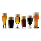 Alternate image 0 for Dailyware&trade; Craft Brew Beer Tasting Glasses (Set of 6)