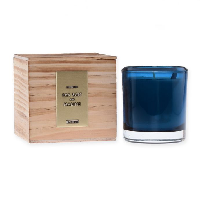 DW Home Sea Salt and Marine WoodAccent 8 oz. Jar Candle in Blue Bed