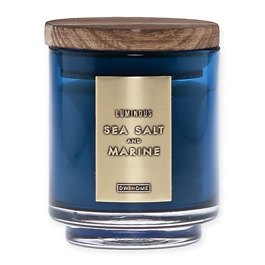 Alternate image 1 for DW Home Sea Salt and Marine Wood-Accent 4 oz. Jar Candle in Blue