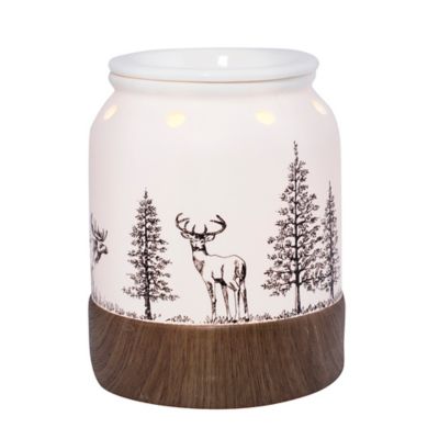 fragrance wax warmer