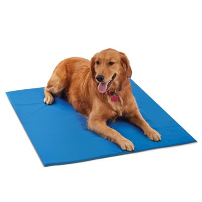 cool pet pad canada