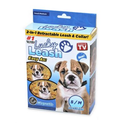 lucky dog leash