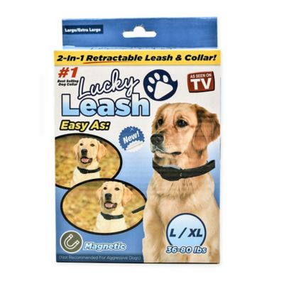 avalanche step in dog harness