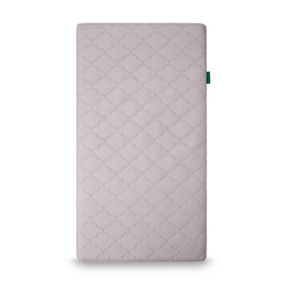 newton crib mattress buy buy baby