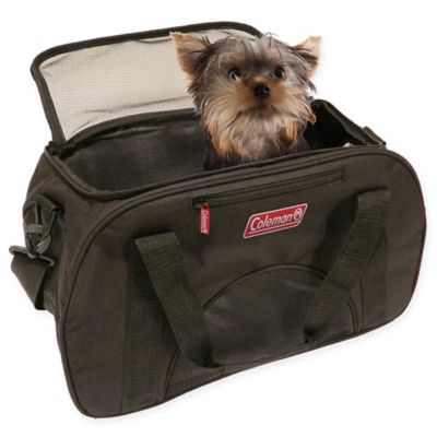 dog in carrier