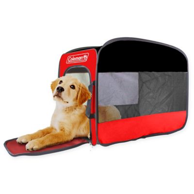 coleman folding pet cot