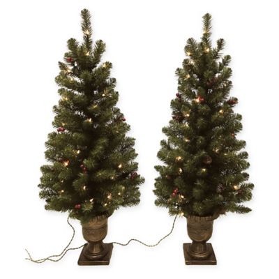 4 ft outdoor christmas tree