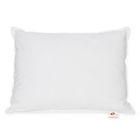 Lauren Ralph Lauren Back And Stomach Sleeper Standard Queen Down