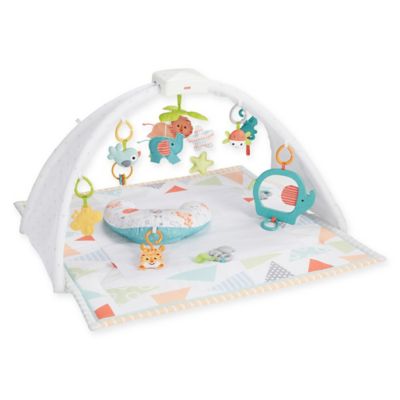 fisher price safari play mat