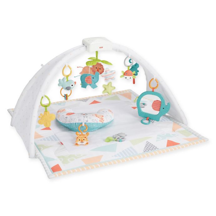 Fisher Price Safari Dreams Activity Gym Bed Bath Beyond