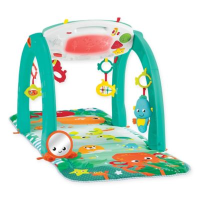 fisher and price play gym