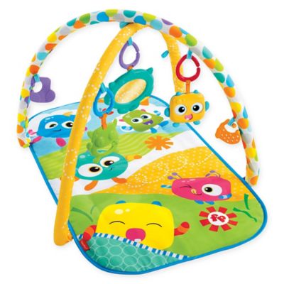 fisher price baby gym