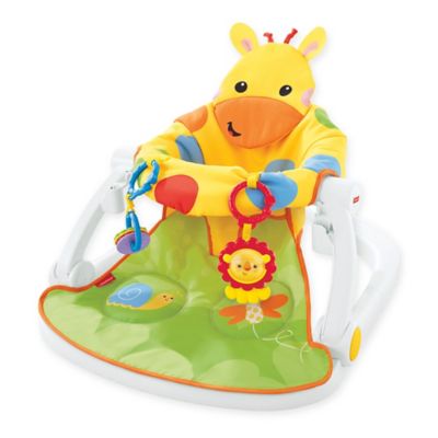 fisher price giraffe seat