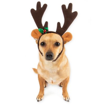 Pawslife™ Reindeer Dog Headband | Bed 