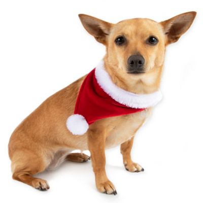 dog santa bandana