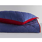 Alternate image 1 for Henry 2-Piece Twin Quilt Set in Navy/Red
