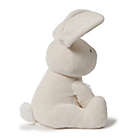 Alternate image 1 for GUND&reg; Flora The Animated Bunny Plush Toy
