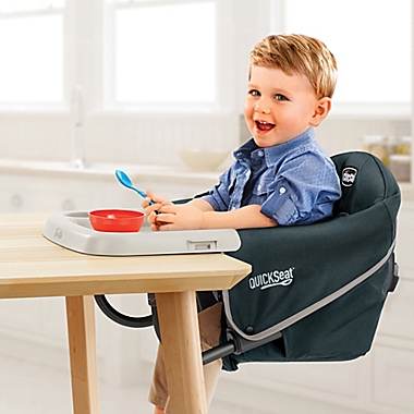 Chicco&reg; QuickSeat Hook-On Chair in Graphite. View a larger version of this product image.