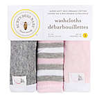 Alternate image 0 for Burt&#39;s Bees Baby&reg; 3-Pack Organic Cotton Washcloths in Blossom
