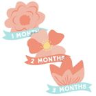 Alternate image 3 for Pearhead&reg; Watch Me Grow Floral Muslin Photo Blanket