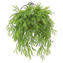 National Tree Company® 20-Inch Pine Branch Artificial Wall Hanging Plant