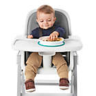 Alternate image 4 for OXO Tot&reg; Stick &amp; Stay Plate in Teal