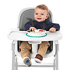 Alternate image 6 for OXO Tot&reg; Stick & Stay Divided Plate in Teal