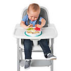 Alternate image 7 for OXO Tot&reg; Stick & Stay Divided Plate in Teal