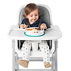 Alternate image 8 for OXO Tot&reg; Stick & Stay Divided Plate in Teal
