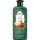 Alternate image 1 for Herbal Essences Bio:Renew 13.5 fl. oz. Potent Aloe + Mango Curl Definer Sulfate-Free Shampoo
