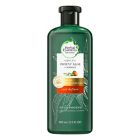 Alternate image 0 for Herbal Essences Bio:Renew 13.5 fl. oz. Potent Aloe + Mango Curl Definer Sulfate-Free Shampoo