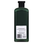 Alternate image 1 for Herbal Essences Birch Bark Extract 13.5 oz. Shampoo