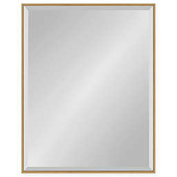 Kate and Laurel Rhodes Wall Mirror