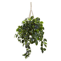Nearly Natural 36-Inch Pothos Hanging Basket