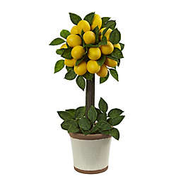 Nearly Natural 18-Inch Artificial Lemon Ball Topiary Tree in Planter