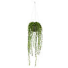 Alternate image 0 for Nearly Natural 21-Inch Artificial String of Pearl Hanging Plant in Stone Vase