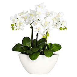 Nearly Natural 15-Inch Artificial Phalaenopsis Flower Arrangement with Vase