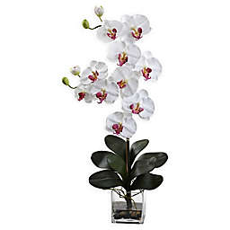 Nearly Natural Artificial Double Giant Phalaenopsis Orchid in Vase