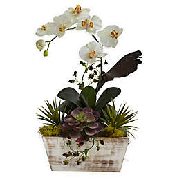 Nearly Natural Orchid & Succulent Garden Floral Arrangement with Planter
