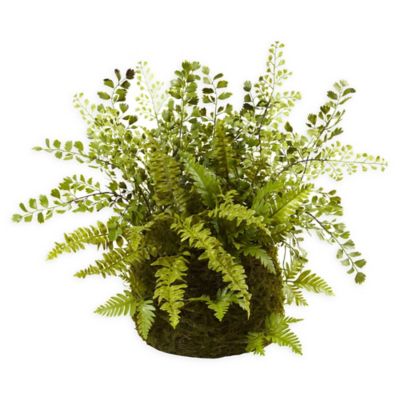 Nearly Natural Mixed Fern with Twig and Moss Basket