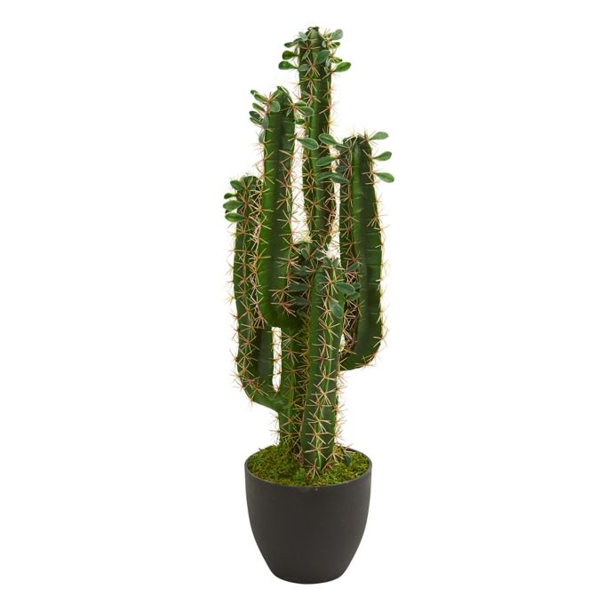 Nearly Natural 2 5 Foot Artificial Cactus Plant In Planter Bed Bath Beyond