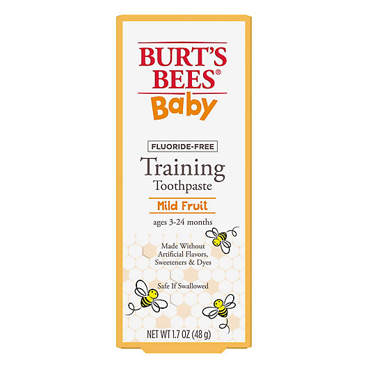 Alternate image 1 for Burts Bees® Baby 1.7 oz. Mild Fruit Training Toothpaste