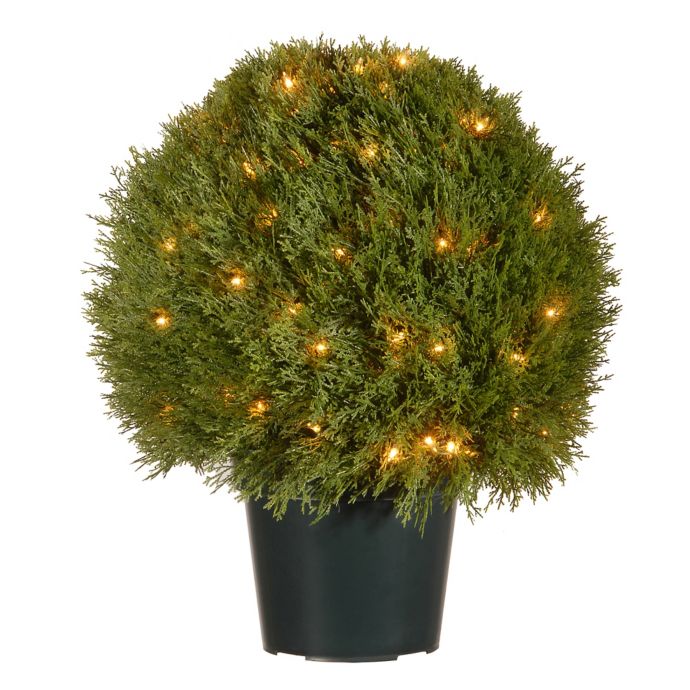 National Tree Company® 24Inch PreLit Cedar Topiary