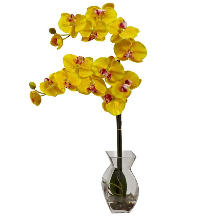 Nearly Natural 24 Inch Faux Phalaenopsis Orchid With Glass Vase