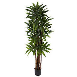 Nearly Natural 6.5-Inch Dracaena Artificial Tree