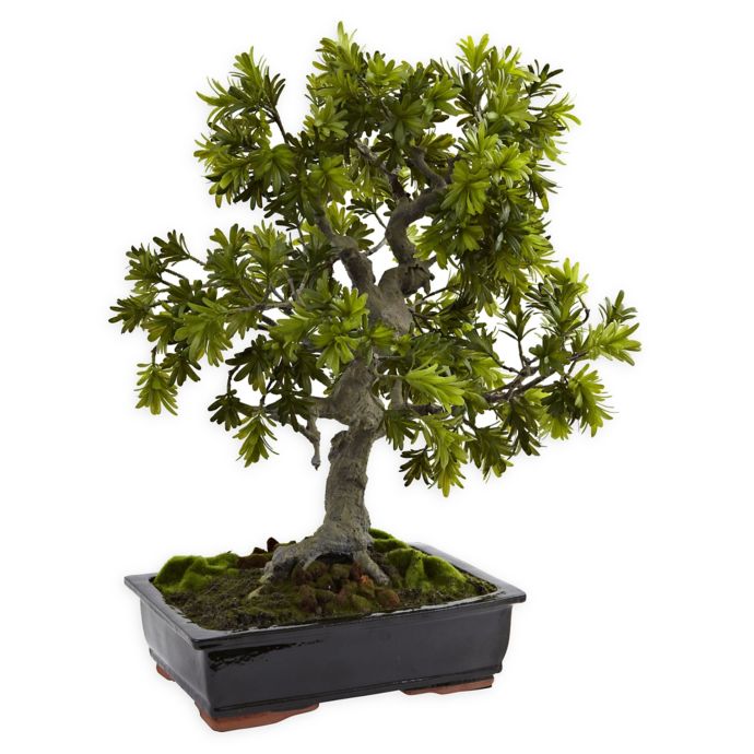 Nearly Natural 30 Inch Artificial Giant Podocarpus Mossed Bonsai Tree With Black Ceramic Pot Bed Bath Beyond